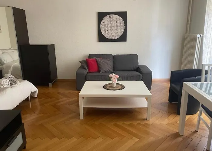 Calme A Apartament Lozanna